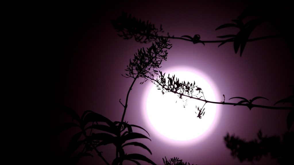 The Sun